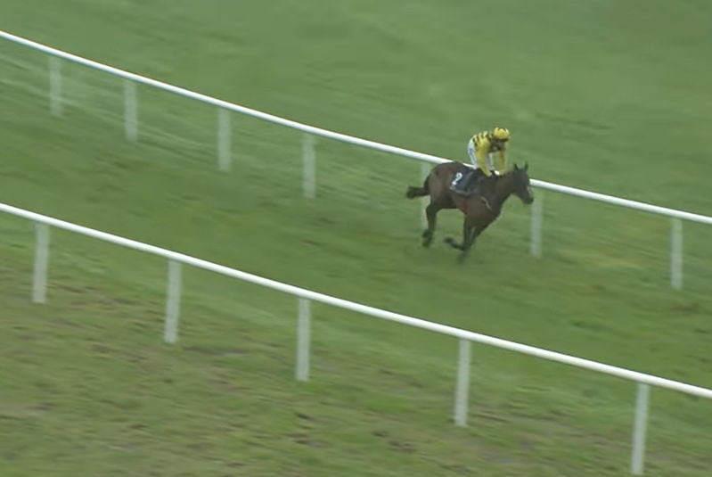 Anzadam’s Injury Could Affect Mullins’ Cheltenham Chances