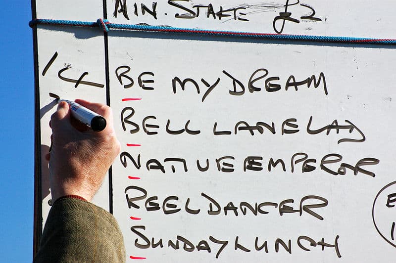 I’m Definitely Backing A Rachel Blackmore Selection For Cheltenham: The Question Is – Which One?