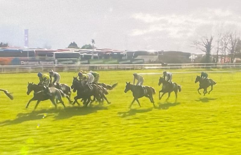 2025 Was The Best Cheltenham For A While – For Me It Will Take Some Beating